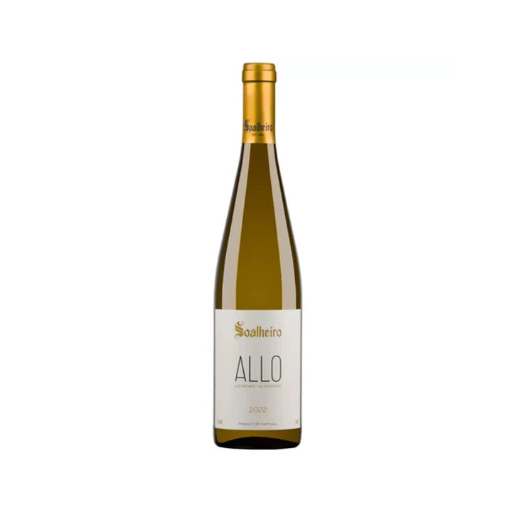 ALLO 2024 model front view showcasing sleek modern design and features